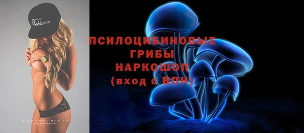 стафф Верея