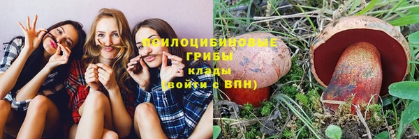 стафф Верея