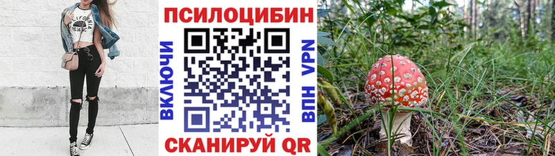 что такое наркотик  Карабаш  Псилоцибиновые грибы Psilocybine cubensis 