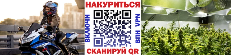 Бошки Шишки MAZAR  где купить наркоту  ссылка на мегу зеркало  Карабаш 